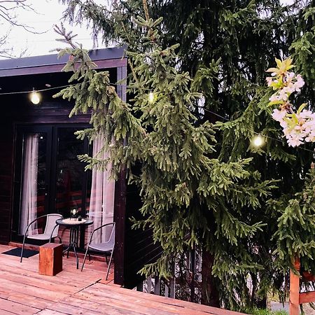 Pensiunea Ioana Borşa Exterior foto